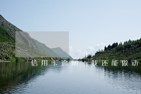 信用卡逾期 我还能做动车吗 信用卡逾期 我还能做动车吗
